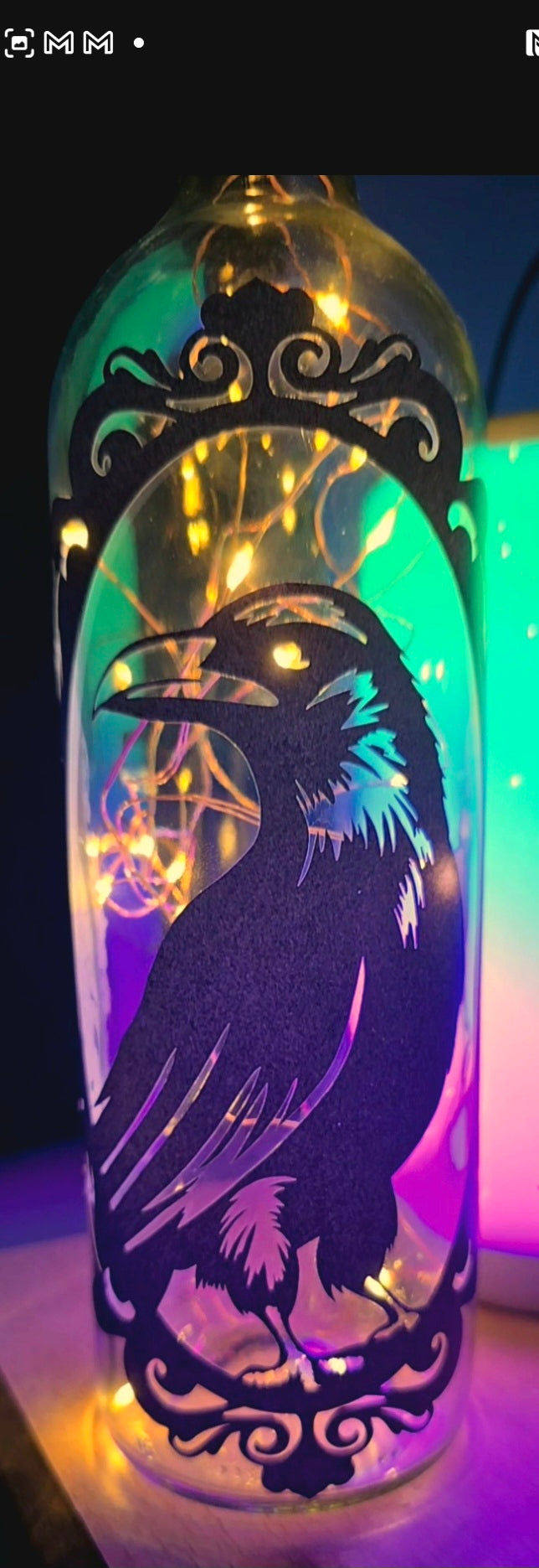 Glow & Shadow : The Illuminated Bottles