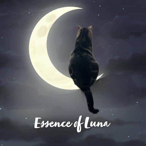 Essence of Luna by SD E-Gift Card